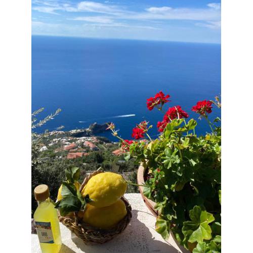 Bed&Breakfast Miramare