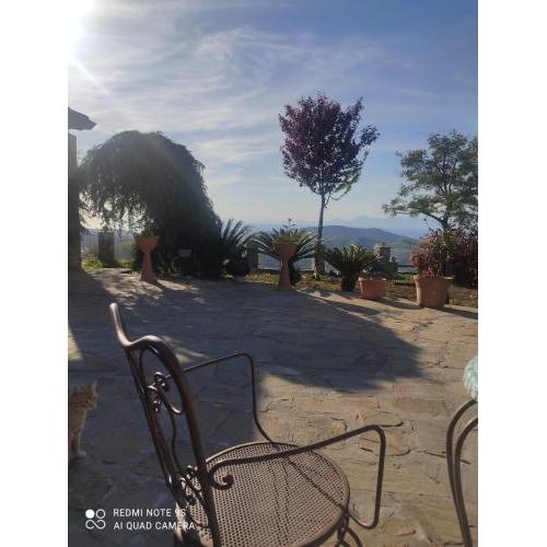 Bed&Rooms Villa La Gatta