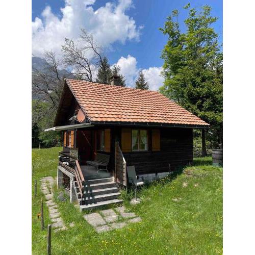 Behagliches Chalet mit Kaminofen umgeben von Natur