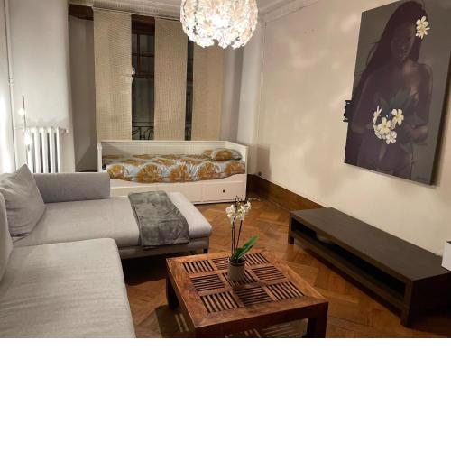 Bel appartement city center