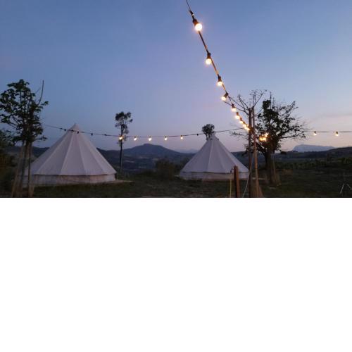 Bell tent in the vineyard with spectacular view