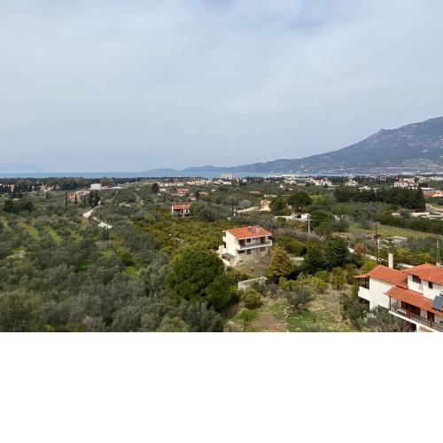 Bella Vista