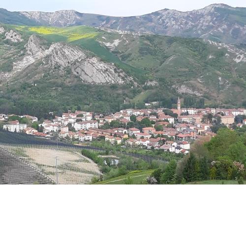 BELLA VISTA