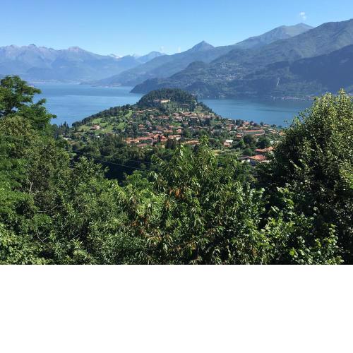Bellagio Panorama