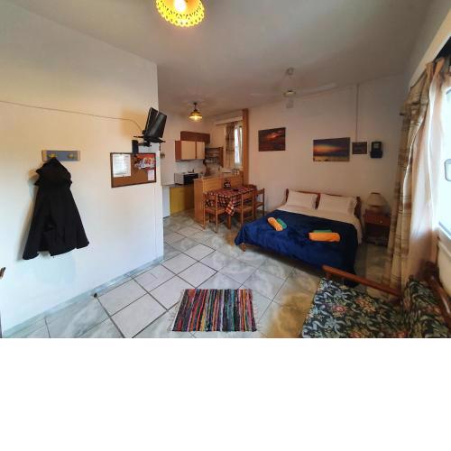 Bella's studio