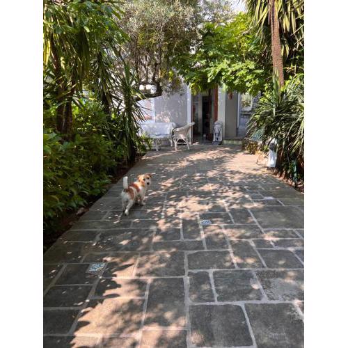 Bellavista garden house Maratea
