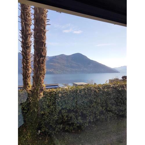 Bellavista