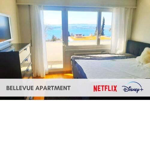 Bellevue apartment