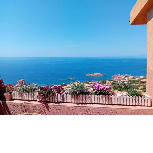 Belvedere-InfinityHolidays