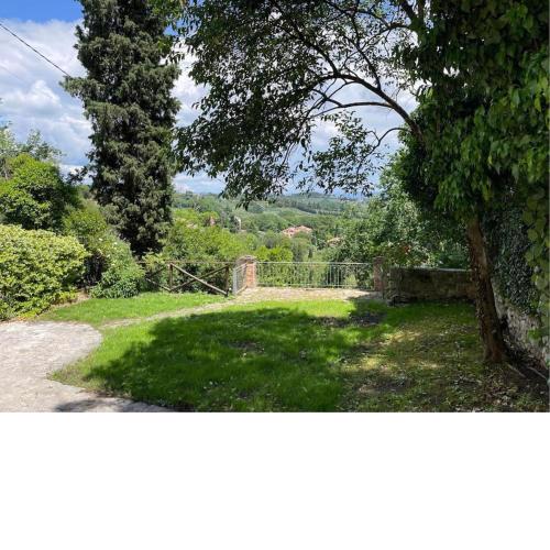 Belvedere