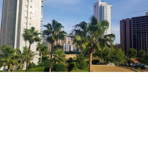 Benidorm beach Buena Vista
