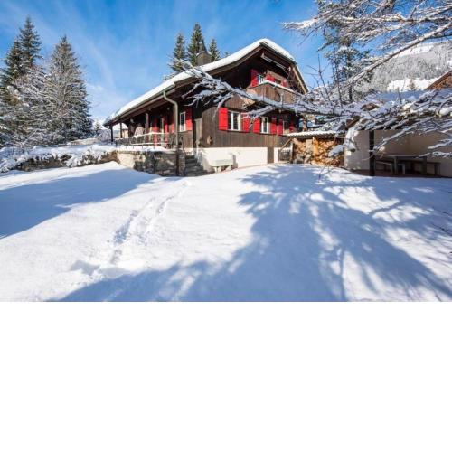 Berg-Ferienwohnung Crocus im Chalet Waldhüsli