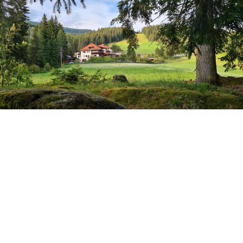 Berghotel zum Zirm