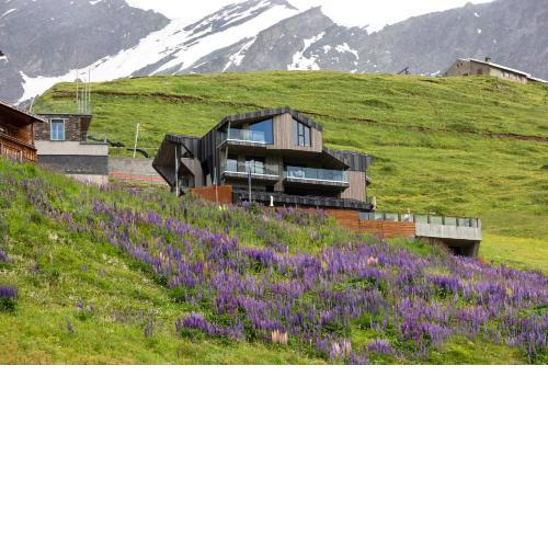 Bergman Mountain Hotel
