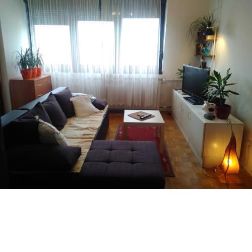 Best & Cosy Studio