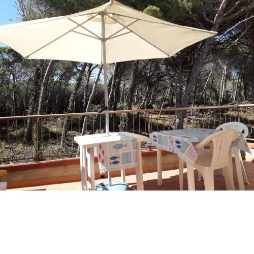 Bibbona Summer - Pineta 3 -