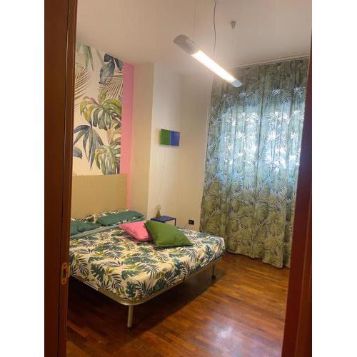 BibiHouse
