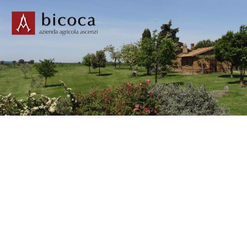 Bicoca - Casaletti
