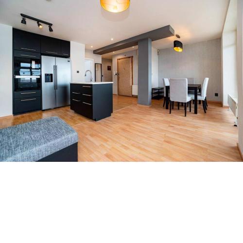 Big 4-bedroom flat, terrace with great Vítkov view
