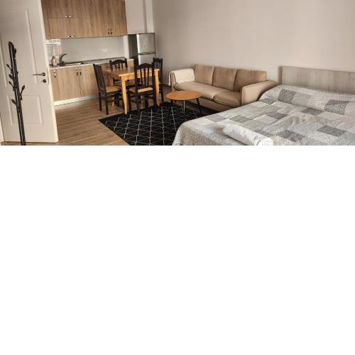Big and beautiful apartment