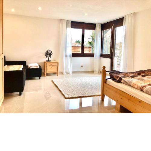 Big Apartment with garden Rapperswil-Jona