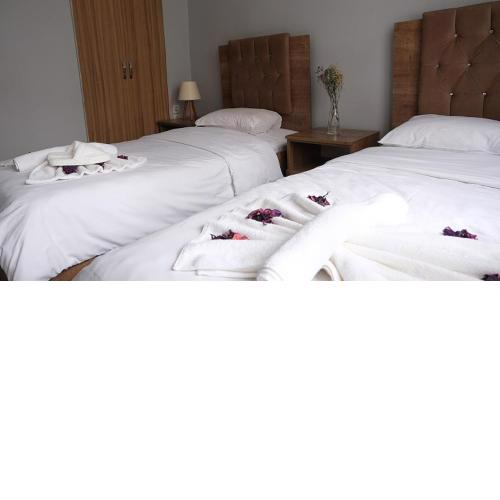BIG MOLLS HOTEL