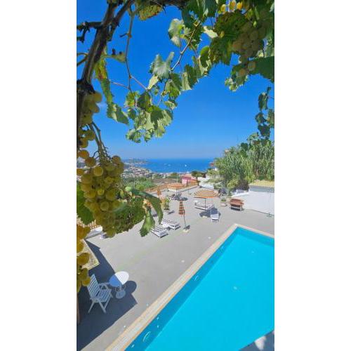 Bilocale con terrazza vista mare - Iside