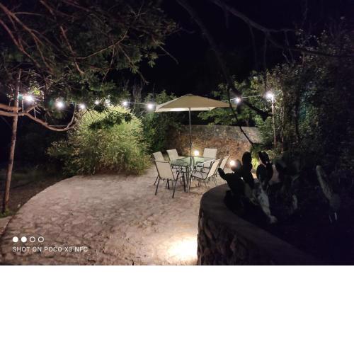 Bilocale zona porto con porzione di giardino distaccata ad uso privato
