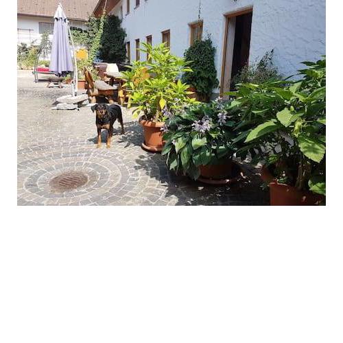 Bio Bauernhof mit Flair