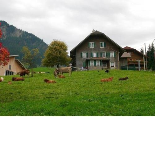 Bio-Hof Brudersrüti
