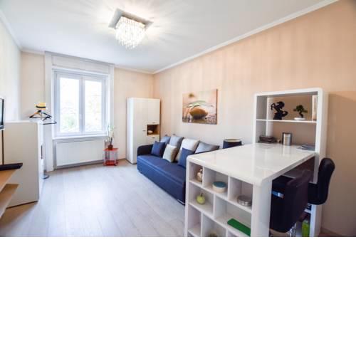 Black Horse Apartment close to the Parliament