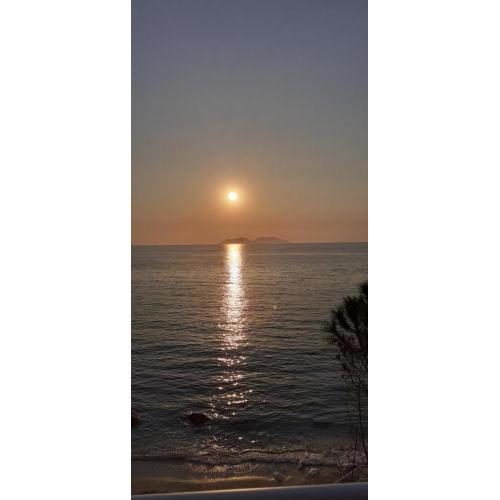 Blera's Apartment Vlore