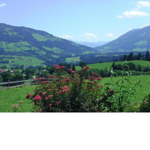 Blick ins Brixental