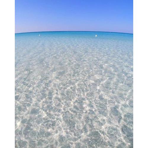 Blu dea
