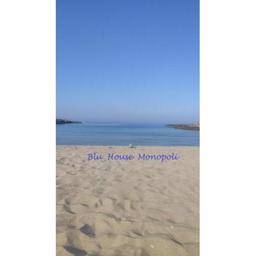 Blu House
