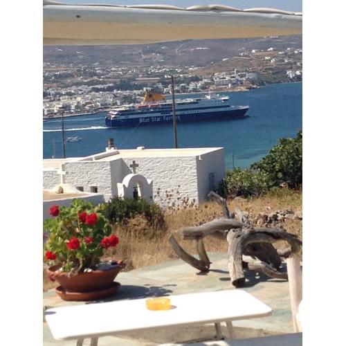 Blue Bay Heliolithos