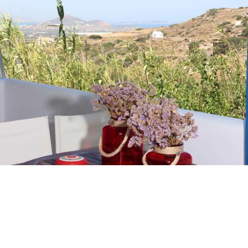 Blue Harmony's Home