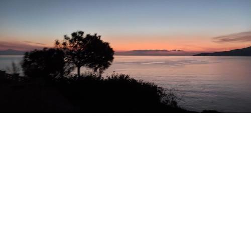 Blue Horizon View