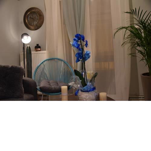 Blue Lotus