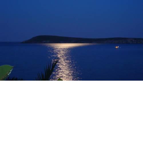 Blue & Sea Studios