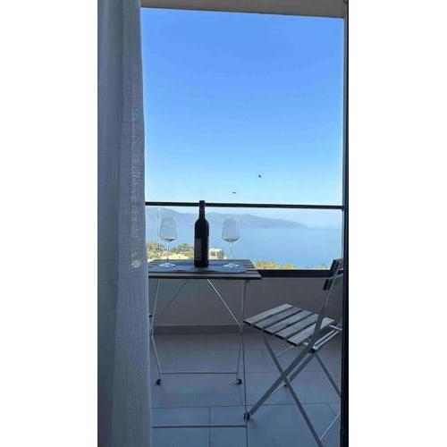 BluHorizon Suites