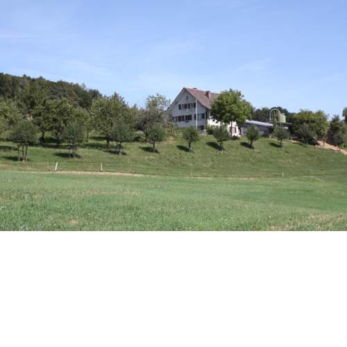 BnB im Waldhof