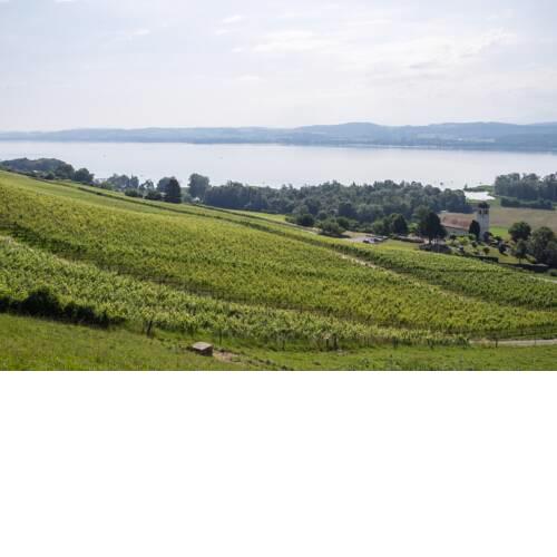 BnB Murtensee und Alpen