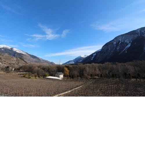 BnB Vino Veritas