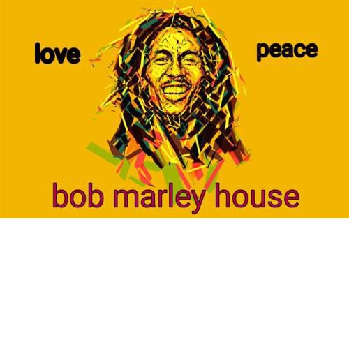 bob Marley house