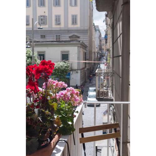 Bobbò House III, a balcony in the heart of Naples