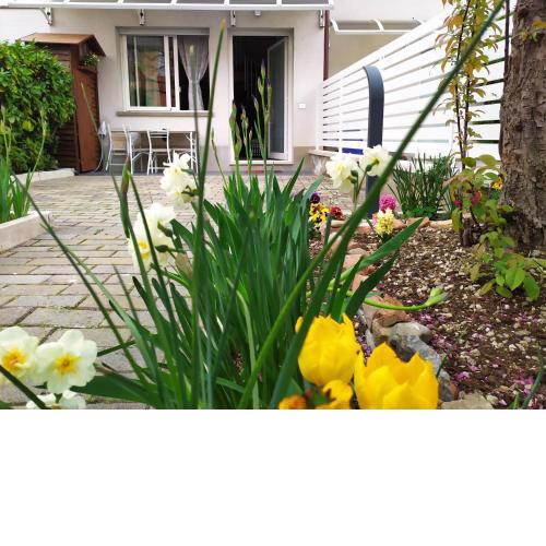 bolognaholidayhome APPARTAMENTO SIGNORINI giardino e posto auto