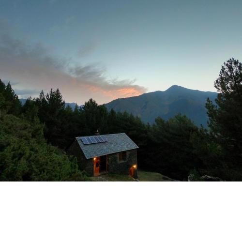 Bordes Pirineu, Pintor