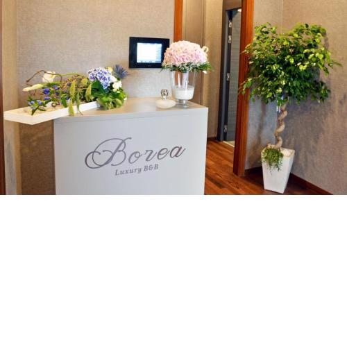 Borea Luxury B&B