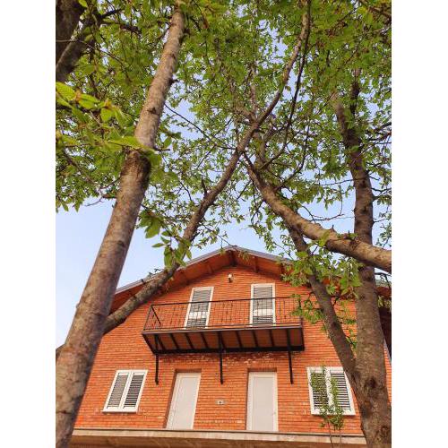 Borealis Guest House